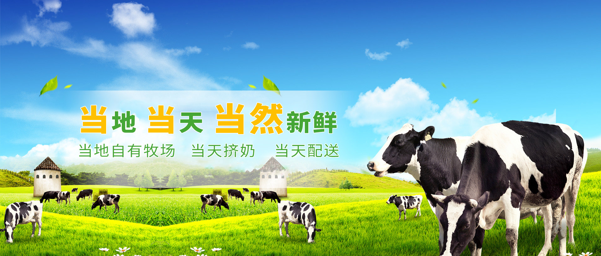 南陽湖農場